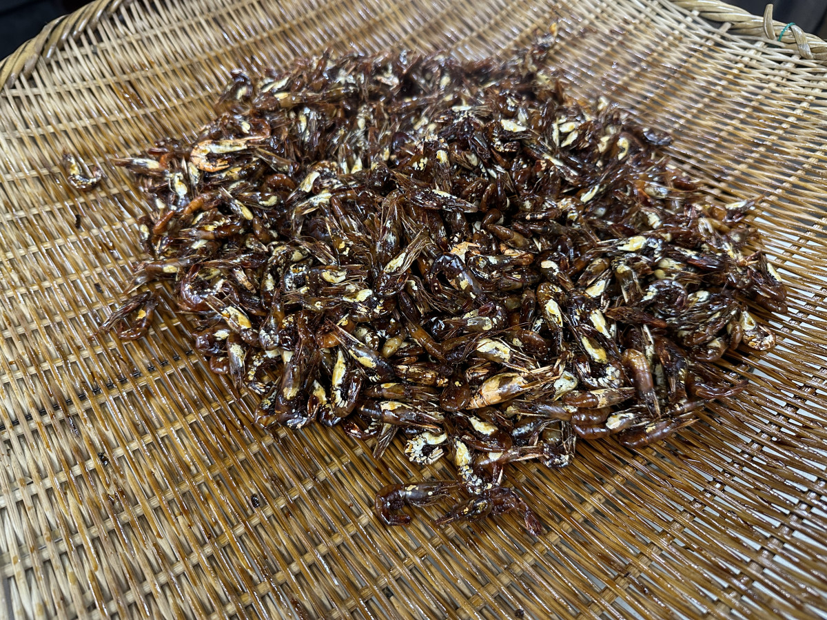 エビの佃煮